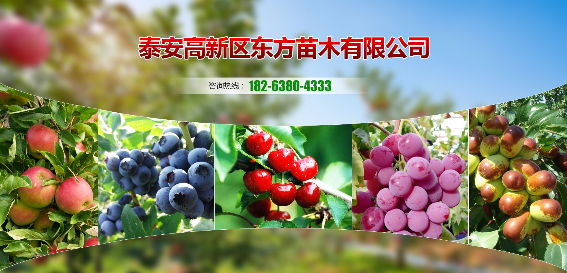 諸城市東興食品有限公司